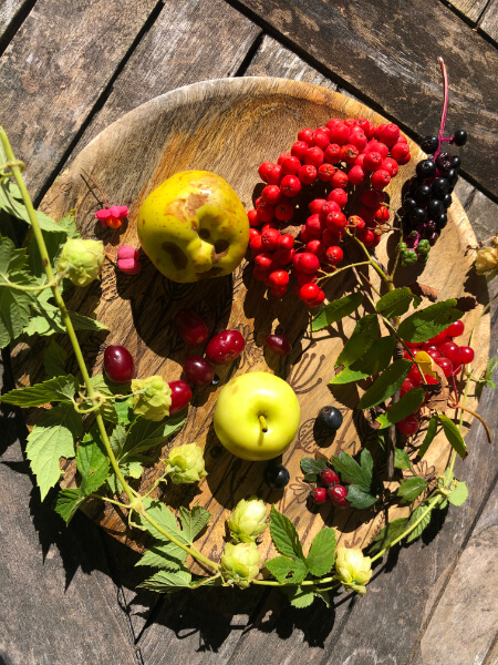 obstteller_september