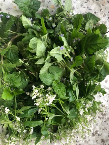 {{brizy_dc_image_alt imageSrc=