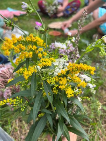 kräuterbuschen_juni_2
